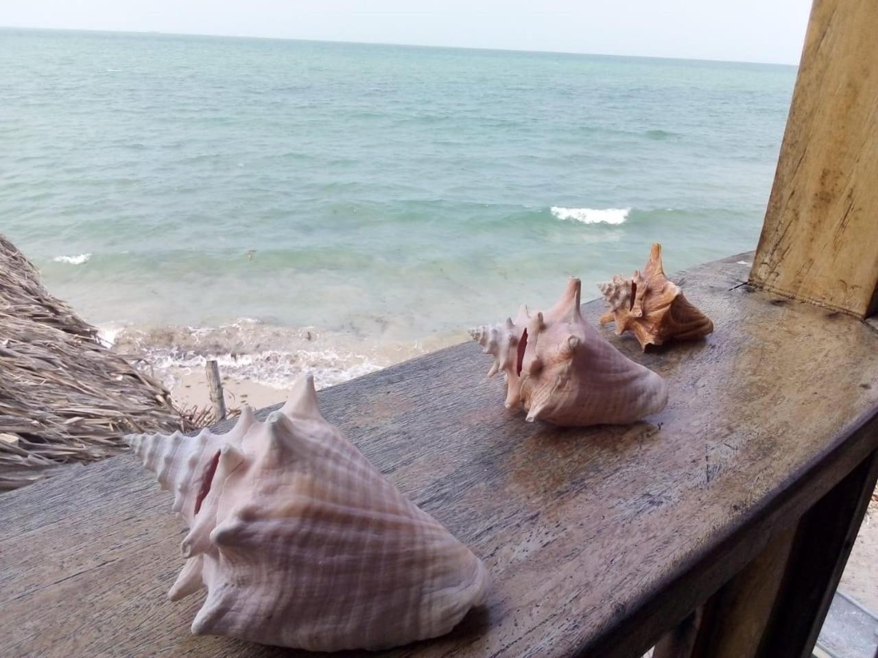 Hostel Blue Sea Rincon Del Mar المظهر الخارجي الصورة